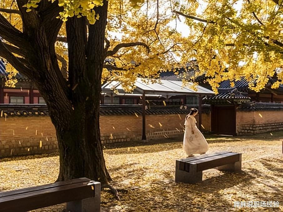 广南|职场中,非常不成熟的五种表现,如果你有,一定要改掉