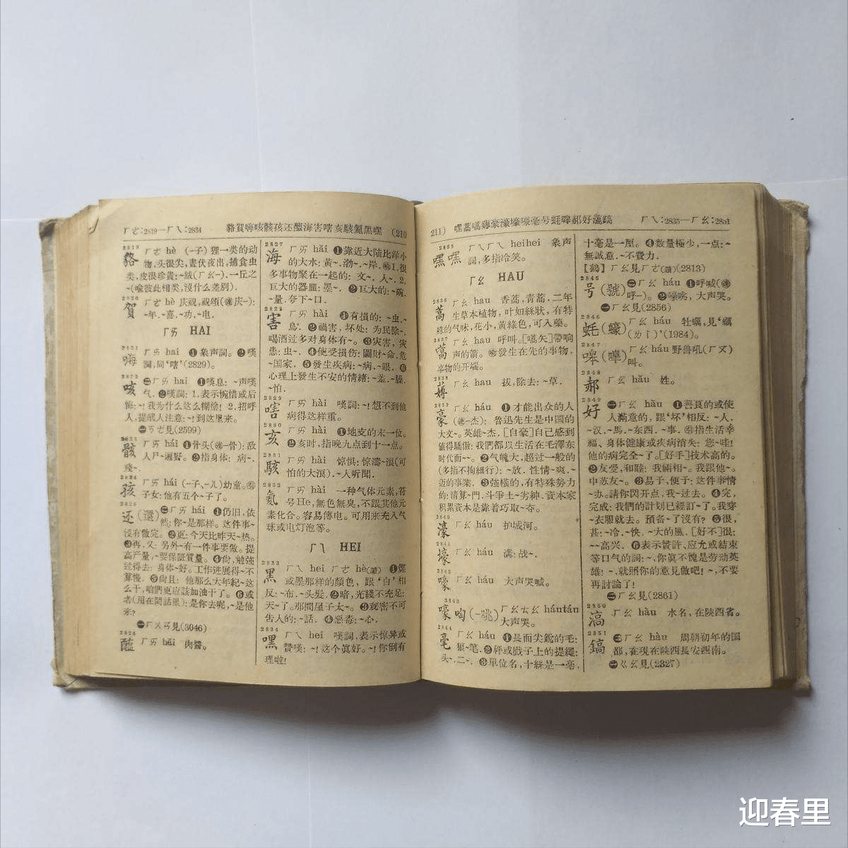 广东潮汕:男子翻看上学时发的字典,质疑“玩”字释义不尊重女性
