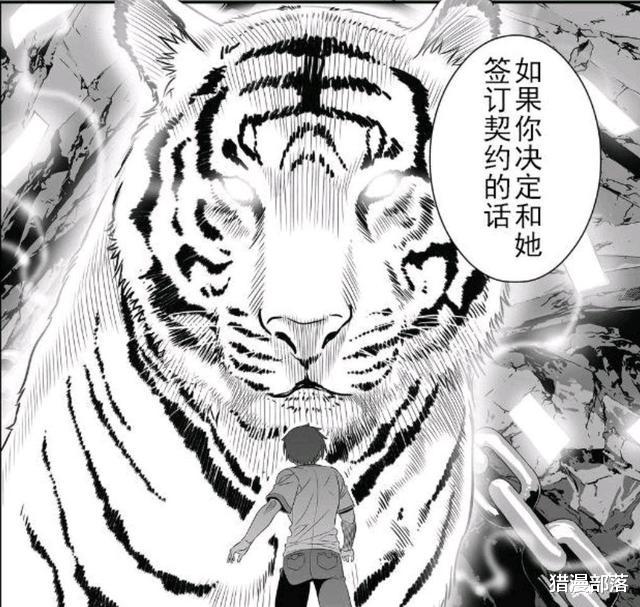 小萝莉|倒霉还是幸运?男主被迫与小萝莉结婚,可惜是个吊睛白额虎