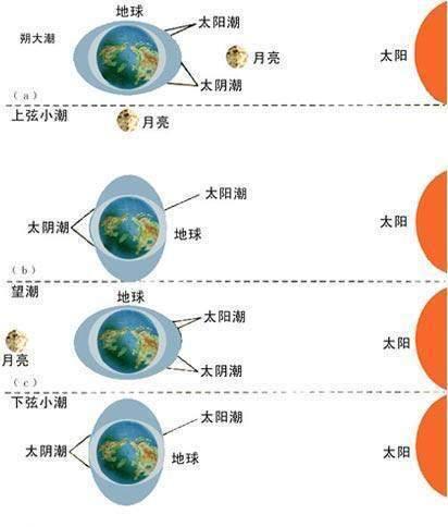 大海到底有多可怕?发生在海洋里诡异的危险,足以让人“胆寒”