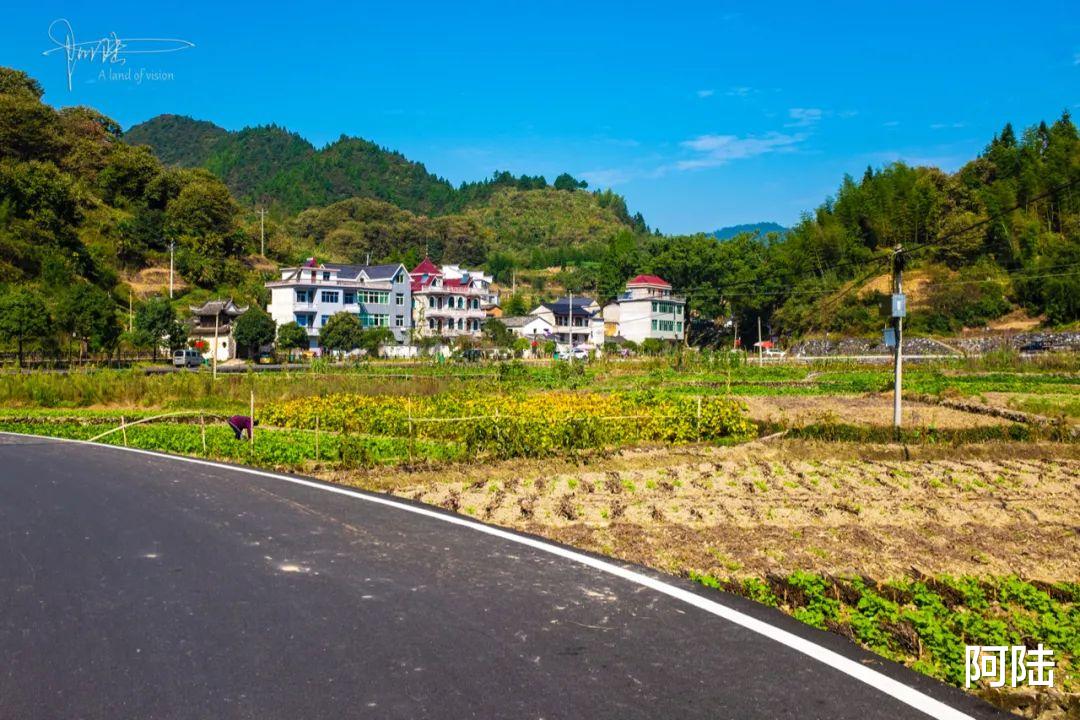 西藏|这个淳安山岙里的村庄已有700多年历史,内含300幢明清建筑