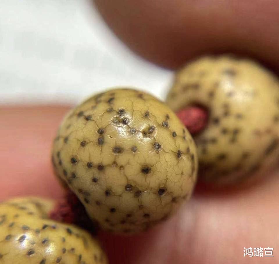 文玩|文玩的爱好并非一成不变,不同阶段玩家爱好并不相同!