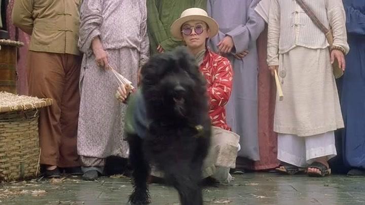 赵本山|赵本山儿子花260万买狗惹争议！年仅25岁，曾花500万买手串自带