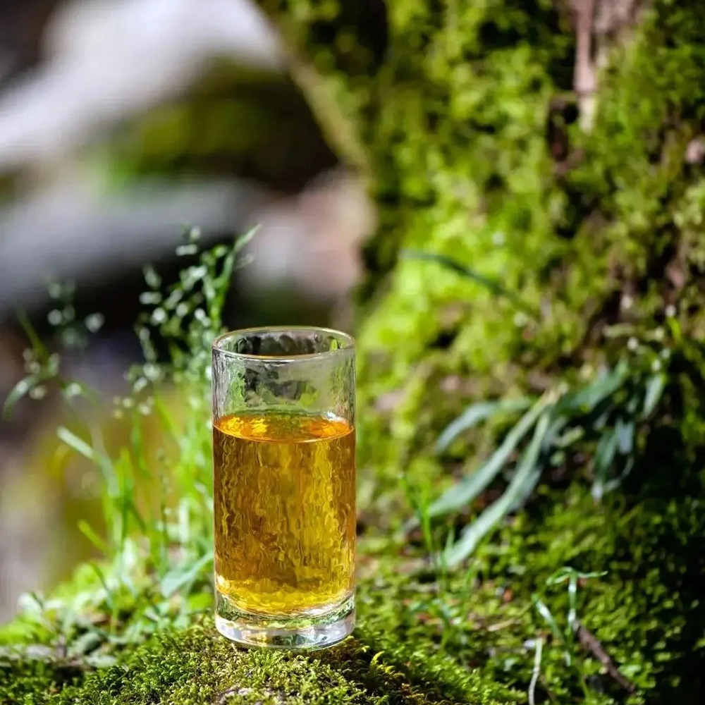 绿茶|立夏时节饮一杯清热降火的好茶,正确冲泡绿茶的方式你学会了吗?