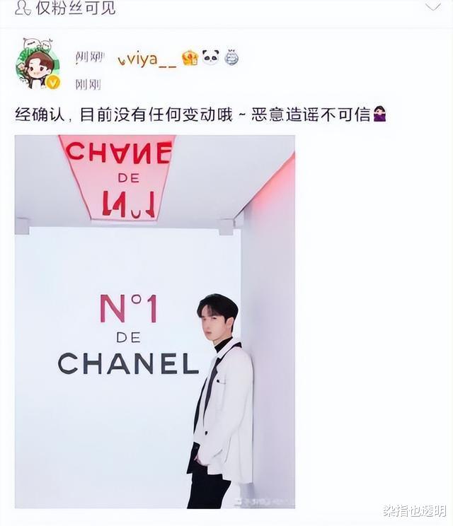 王一博|香奈儿总部回邮件和王一博没续约?知情人回应,粉丝反应“硬核”