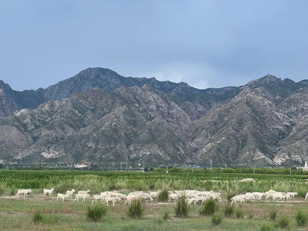 设计师|自驾98天,穿越18个省市区,35000公里,王者归来,勇士圆梦!