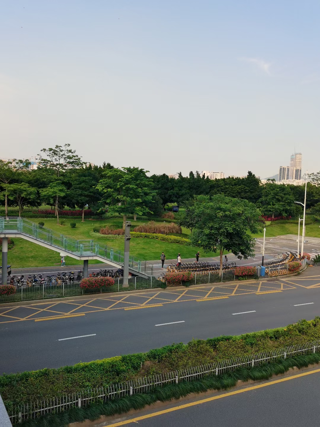 亏损近300万!业主哭诉:怪自己太贪心