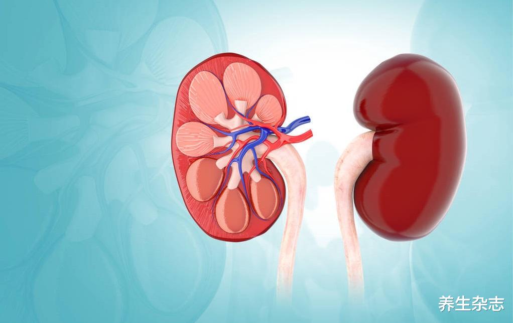 |豆浆是肾衰竭“发物”?医生:不想肾脏报废,远离“2红1绿”