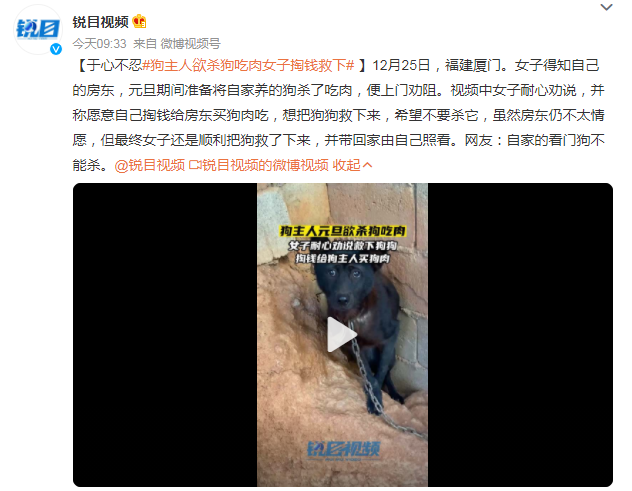狗主人想吃自家狗肉,女子掏钱阻止后,爱狗人士不乐意了!