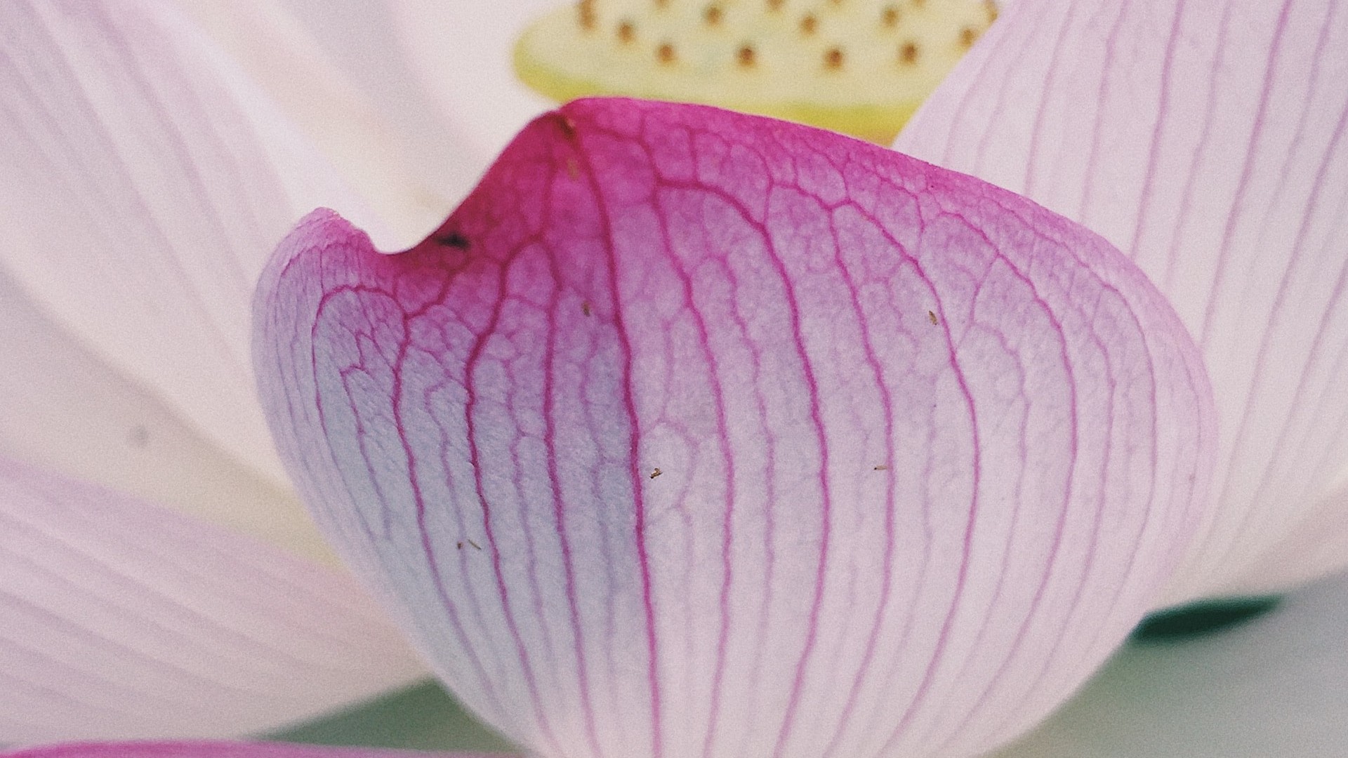 旧爱|今后2年，四大星座工作顺利，工作升职加薪，金银滚入家门