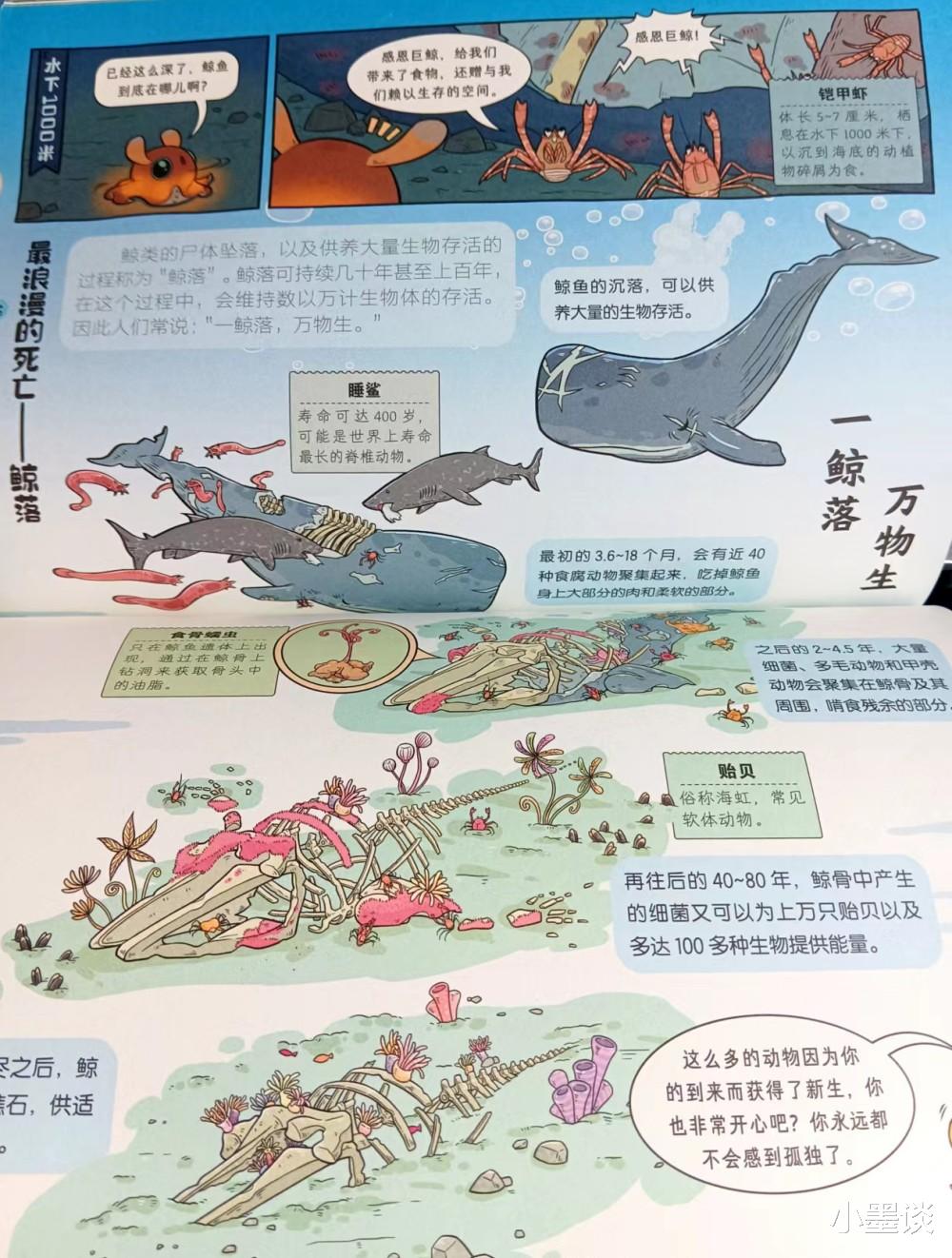 这本大人看了都上瘾的童书,教你如何“博物致知”