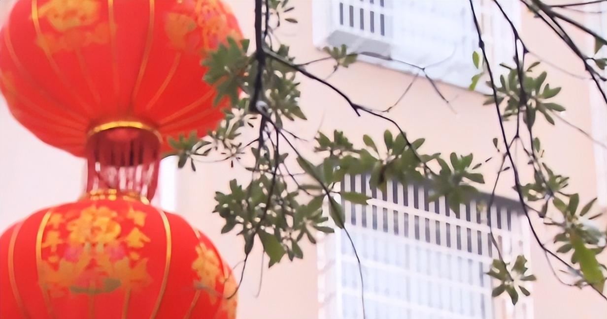2021年,三十五岁富二代打骂父母,只因怀疑自己不是他们亲生的
