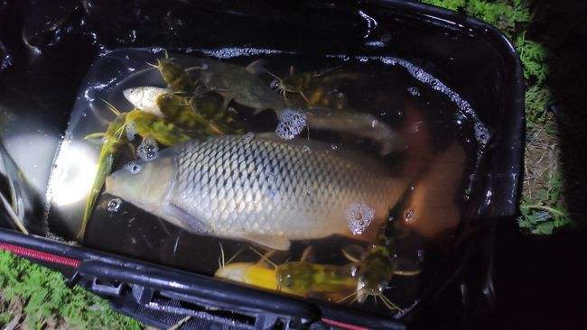 租赁|挪挪窝就能钓得多？没有必要条件，换钓位不如尝试钓远或尽早回家