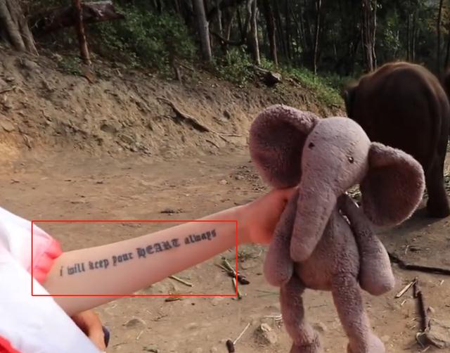 |网曝华晨宇王悦伊分手，女方手臂情侣纹身重现，疑和前任藕断丝连