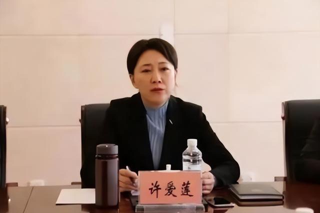 贪官许爱莲落马记，30万两针的美容针说打就打，最终下场如何了
