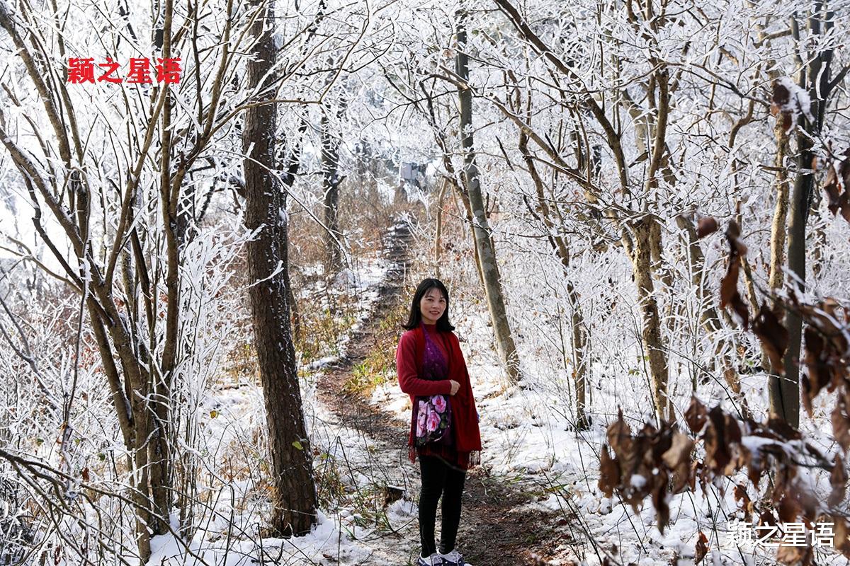宁波|八处赏雪胜地，林海雪原，分外妖娆