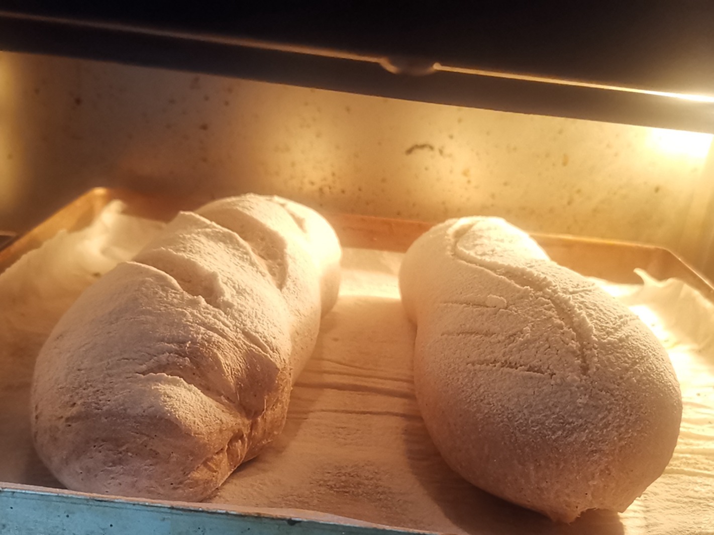 做面包不用手套膜，不用黄油，简单一揉一烤太香了！