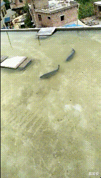 芦笋 “抛开品牌、价格不说！”你选左边还是右边？哈哈哈哈