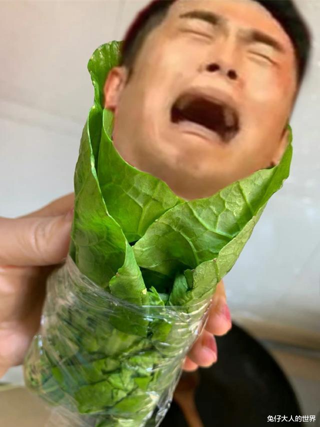 张九南|德云社演员晒照，整蛊张鹤伦张九南等演员，粉丝：小心被师哥欺负