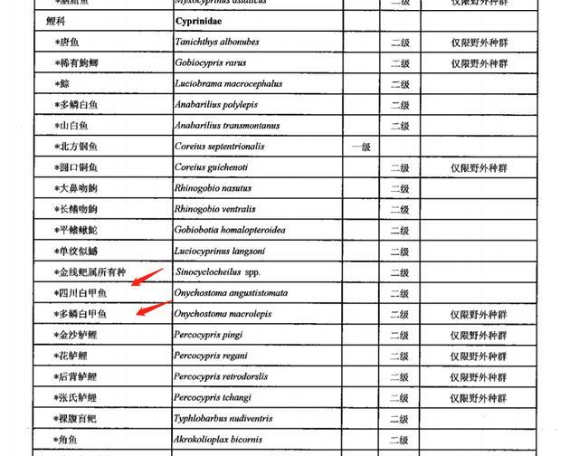 广东省|广东男子多次钓到怪鱼，全吃了后才得知是白甲鱼，男子：有点怕