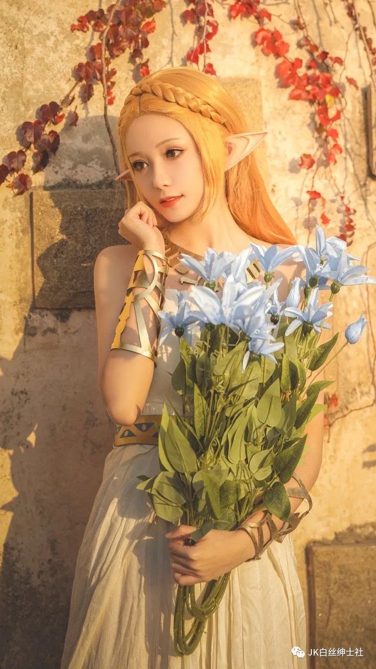 |cos：塞尔达传说公主cos正片@花一