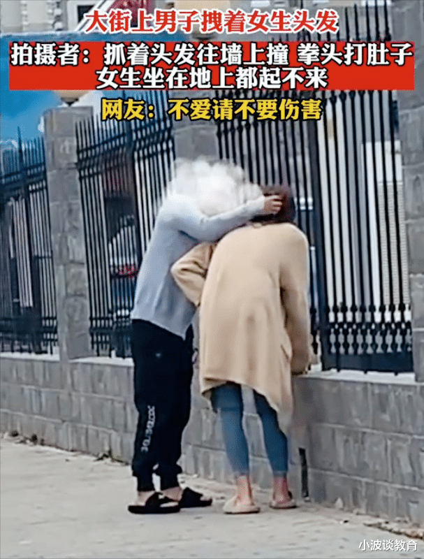 河南一男子:拽女生头发往墙上撞,多次拳打脚踢,画面极为心酸!