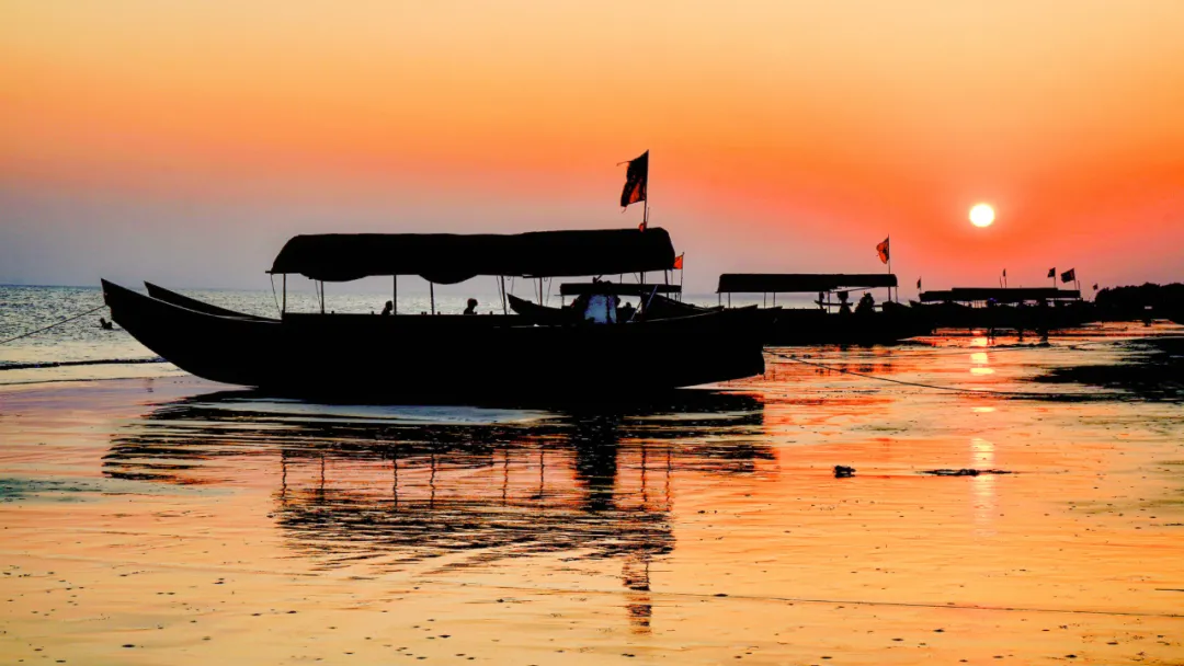 海岛|中国最美沿海公路，坐拥5大海岛，一路驶向大海，山海风光绝美