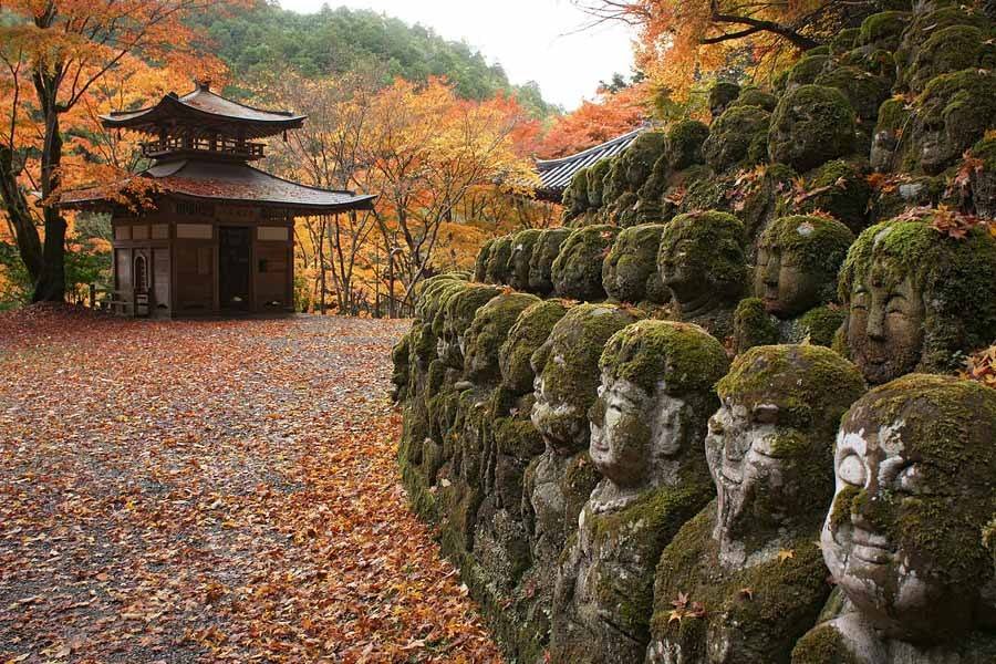 大连|日本旅行篇，去东京不能不逛的几处地方，你知道是哪里吗？