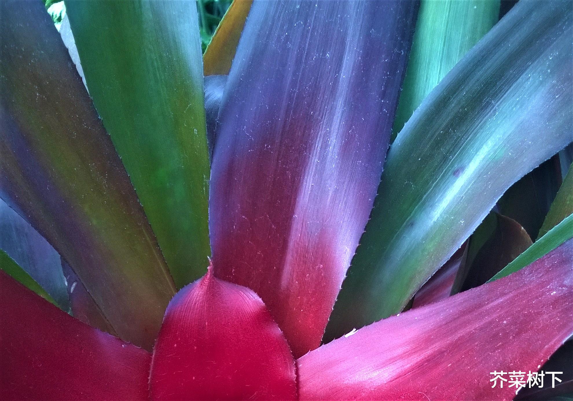 软件|弦内之音，先得好好听