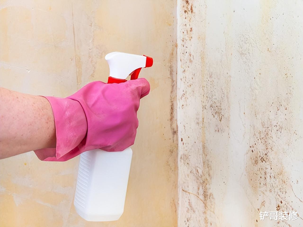 天气潮湿炎热，家里发霉怎么办？学会这招，比重新装修还干净