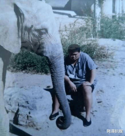 明星|揭秘这几位明星成名前的职业,你知道几个?