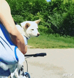 |“钓鱼的时候飞到我手上的，第一次见，有知道这是什么的吗？”