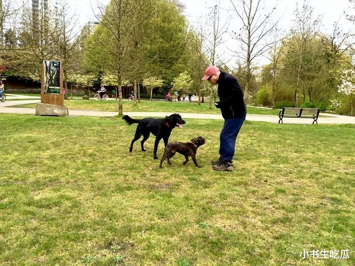 尊龙|美男尊龙:孤儿出身长了一张混血脸,70岁优雅变老,走后不要墓碑