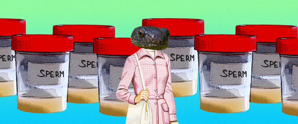 太狂野了!全员雌性, 靠偷别人的精子繁衍后代…