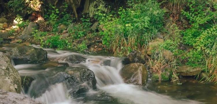 旅游局|遇见盛夏，山谷随风