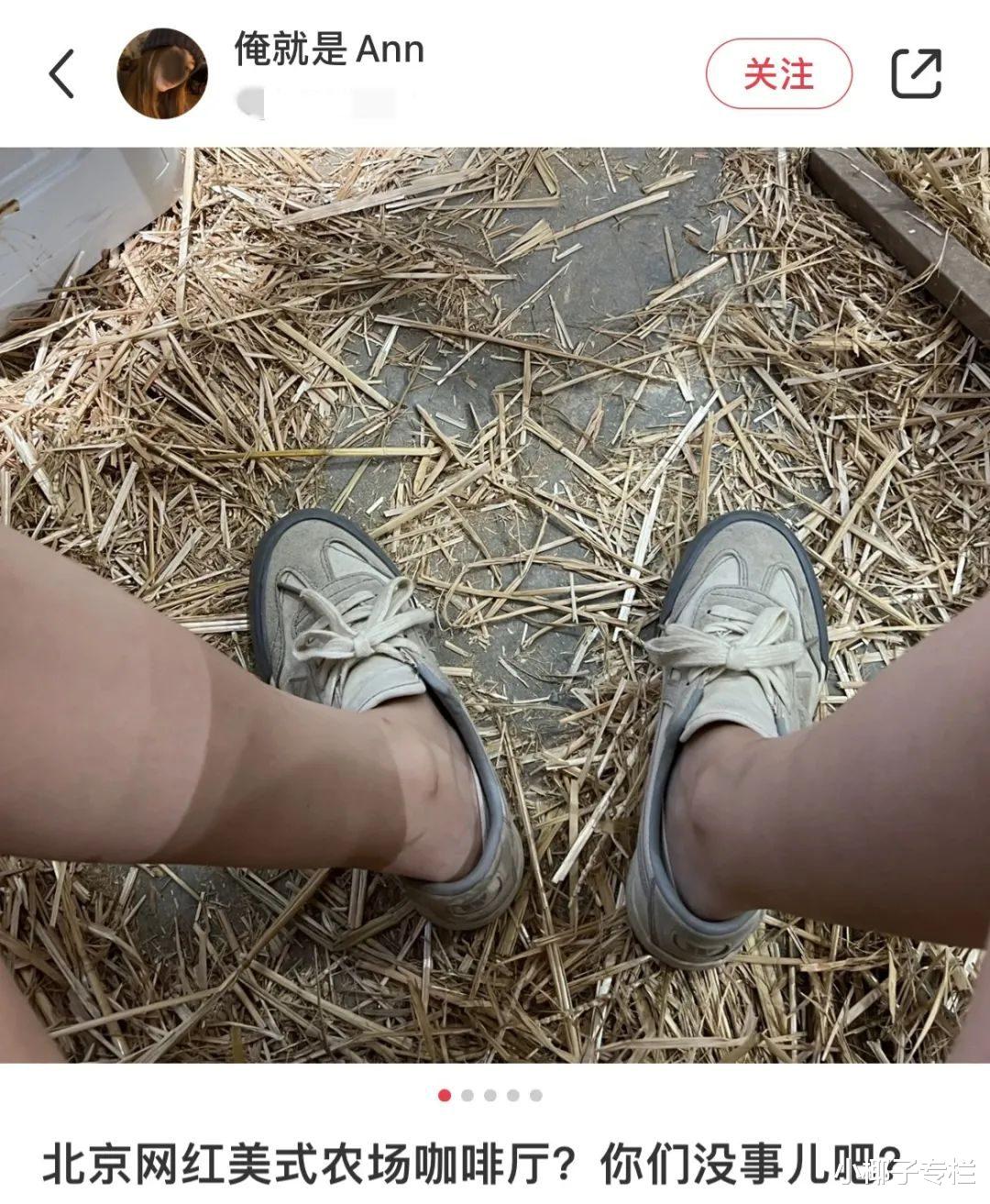 又一被“北京中产”吹捧的网红翻车,戳穿了对年轻人最残忍的骗局