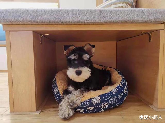 她坚持去除客厅背景墙,还在卫生间设计储物区,成果却让人惊艳