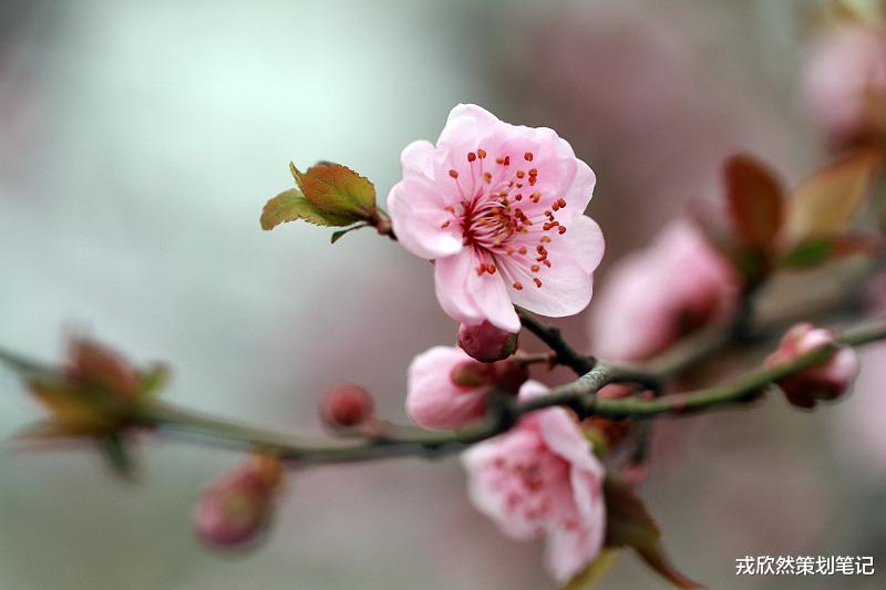 |普通人翻不了身