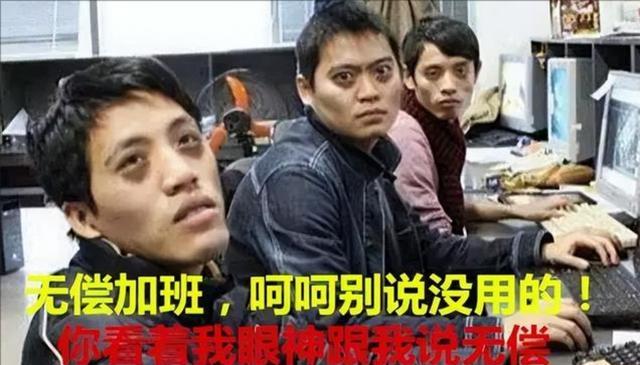 电视剧|一毕业生被称为“招裁猫”,两年被裁三次,电视剧都不敢这么写