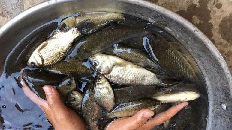 |资源好就一定能钓好吗？切勿“赶场式”钓鱼，别因资源昏了头！