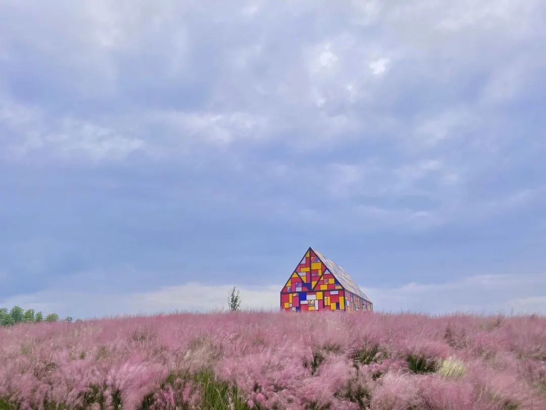 成都|最美蓉城金秋!公园城市5大美景等你解锁→