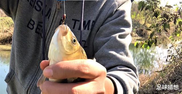 |用传统钓法钓鱼,鱼很少吞钩,仅仅是因为朝天钩挡口?