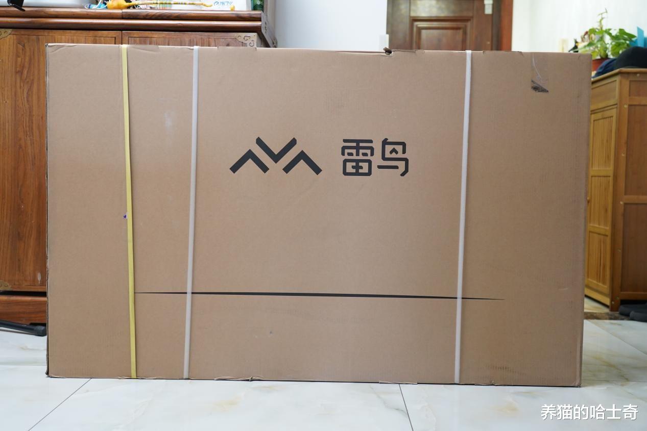 雷鸟|55英寸电视卖3000，智商税还是性价比？雷鸟鹤6 Pro评测体验
