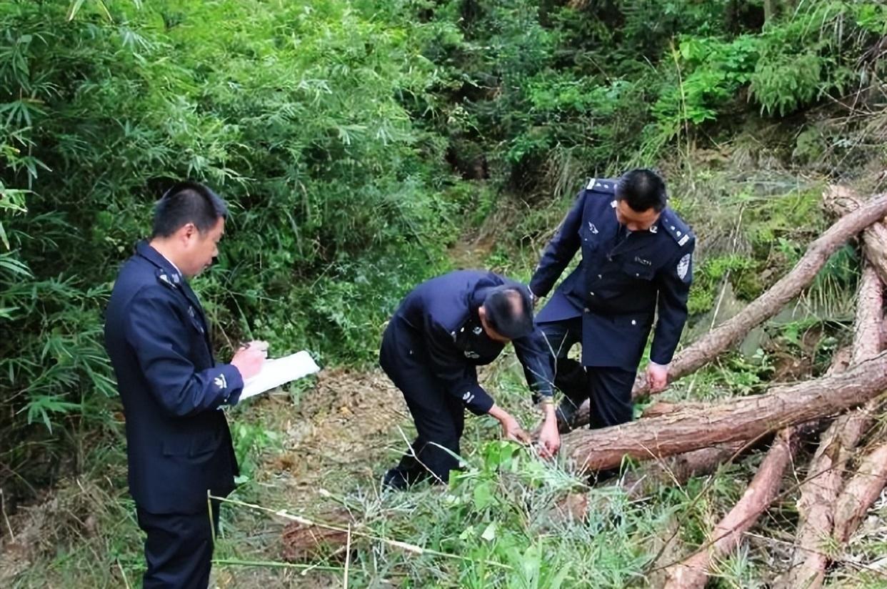 2001年一家六口被害,潜逃犯在山上当十几年野人,出门打工不敢领工资