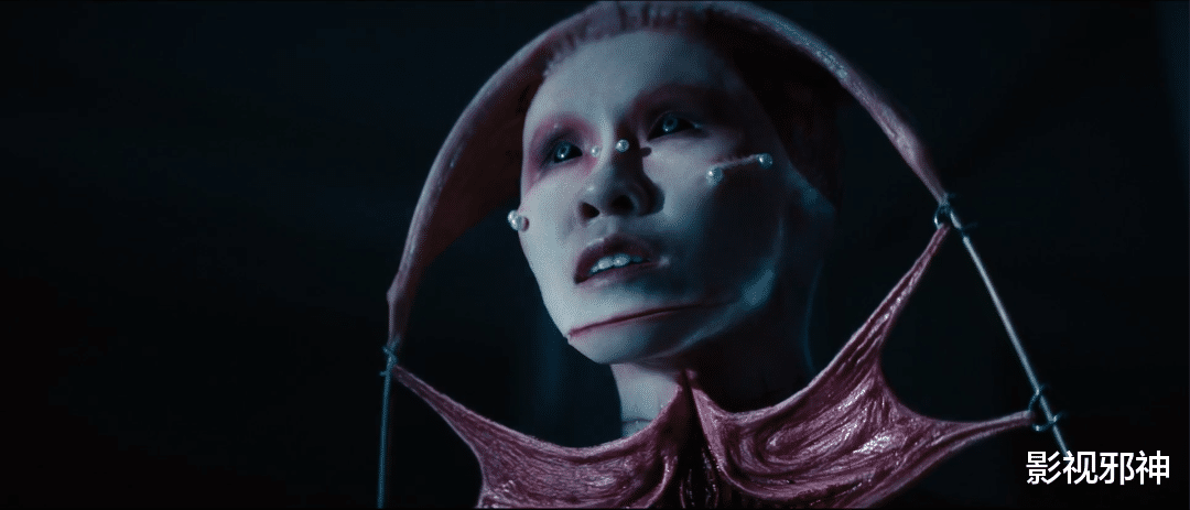 鲁豫有约|BDSM彻底被这片玩坏了……