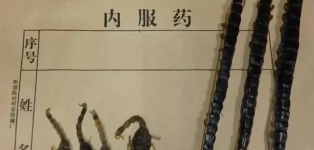 五毒中的蝎子!古代人为什么将壁虎作为五毒之一?