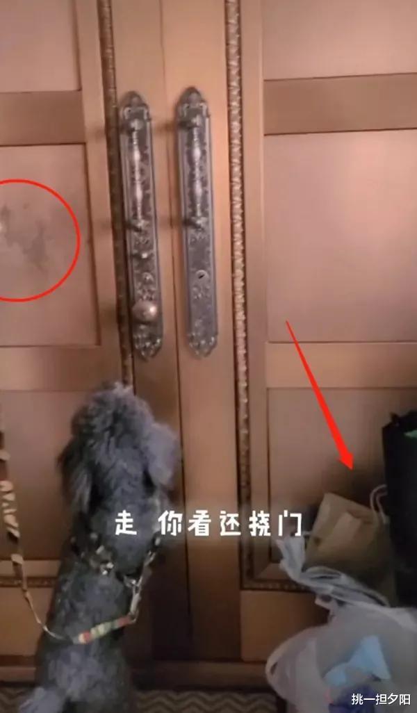 春晚|64岁冯巩一家庆小年! 给汽车铲雪闹乌龙, 送徒弟贾玲上春晚自己缺席5年去干啥了?