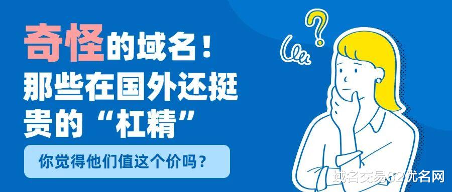 【奇怪的域名】那些在国外卖出超高价的“杠精”域名!