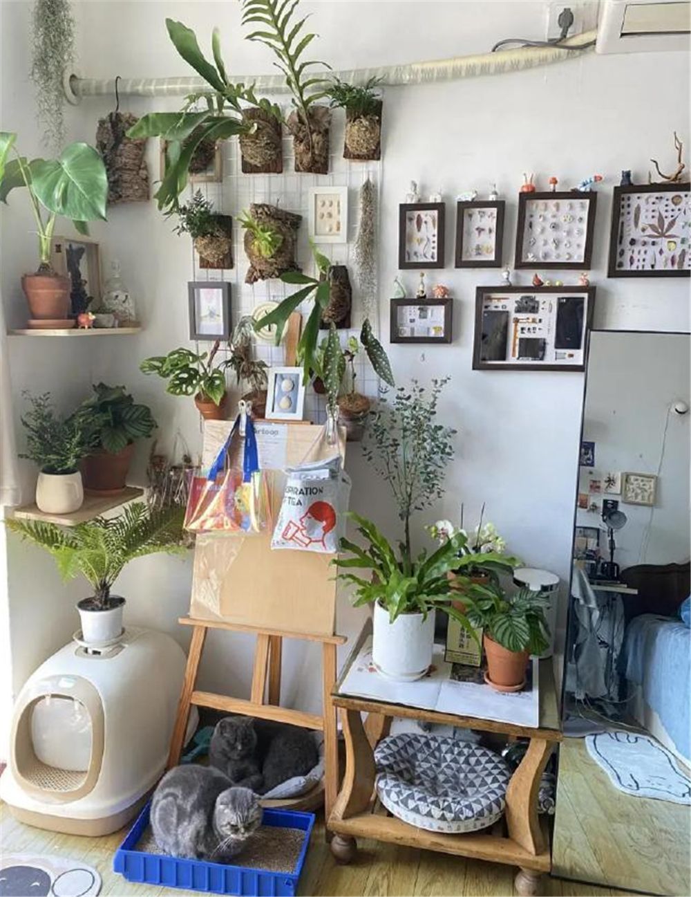 情侣在30㎡顶层老屋住6年，小家被打造得温馨又慵懒，太治愈了