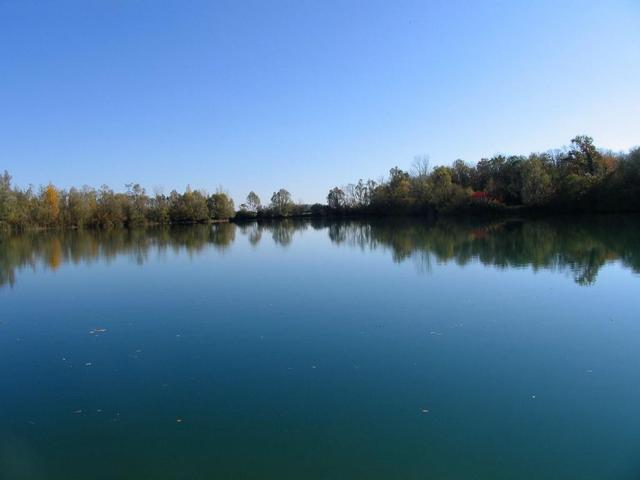 英国|英国老哥钓起巨金鱼,20多岁体重30公斤